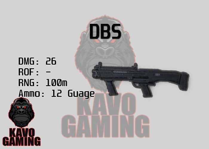 DBS PUBG Stats