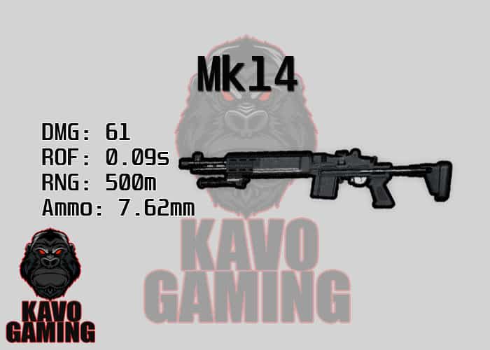 Stats for the Mk14 in PUBG