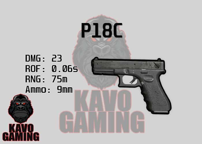 Stats for the P18C in PUBG