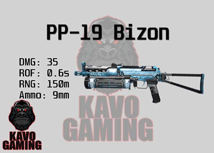 Stats for the Bizon in PUBG