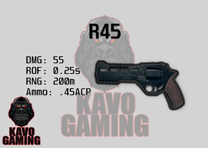 Stats for the R45 in PUBG