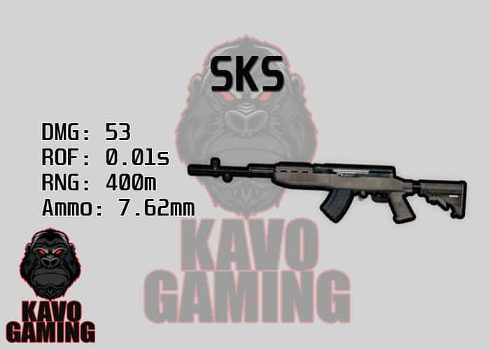 Stats for the SKS in PUBG