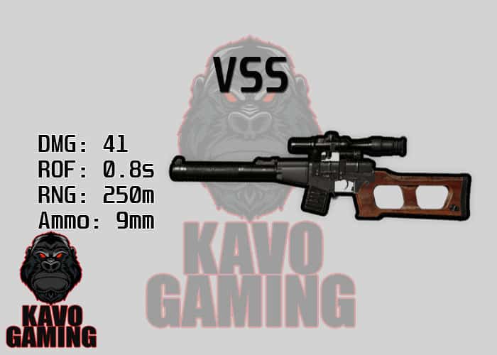 Stats for the VSS in PUBG